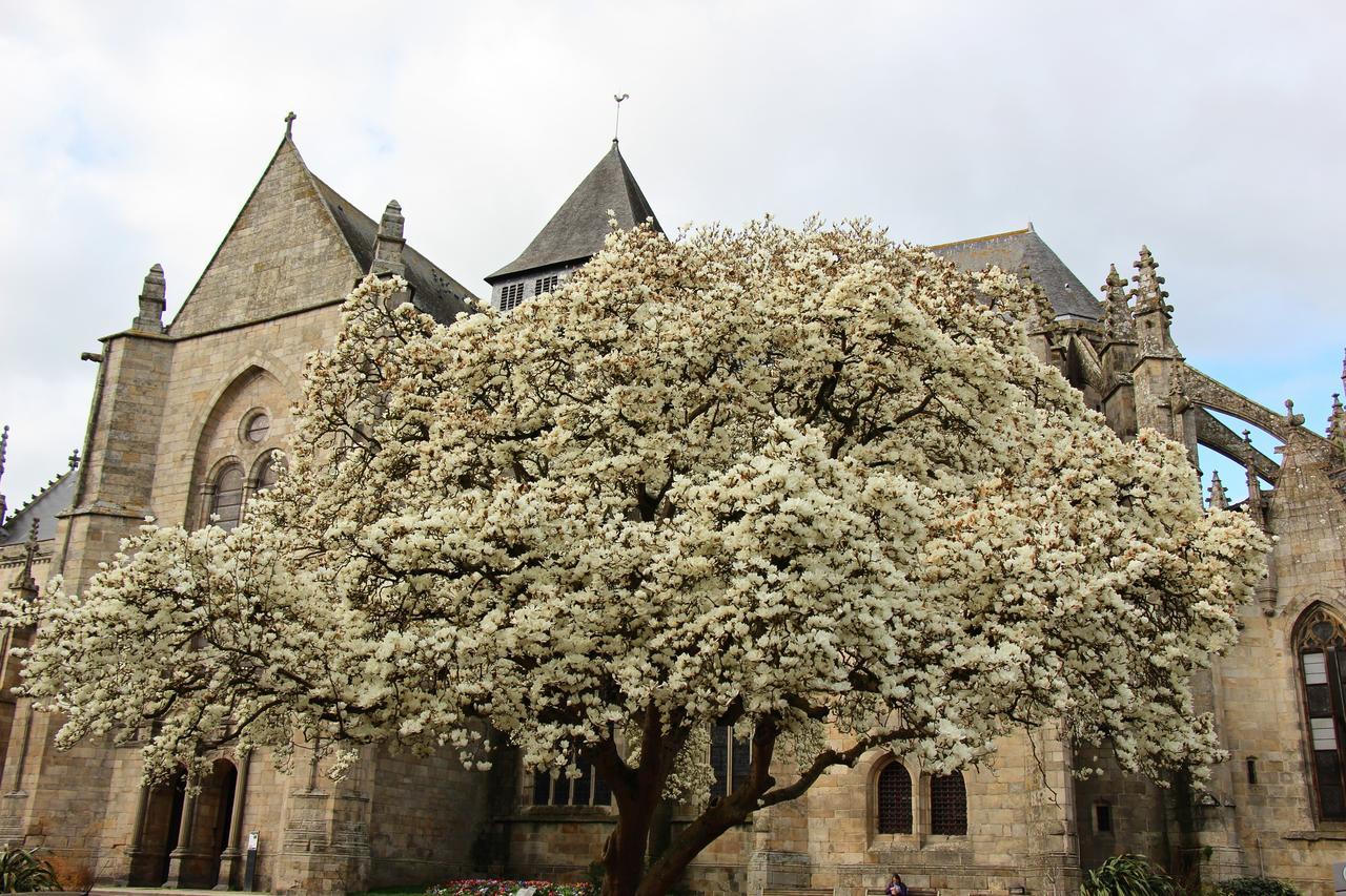 Lanvallay La Tocade Del Arte - Dinan B&B 외부 사진